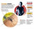 /album/fotogaleria-salud/a1324185374-181211-dengue-jpg/