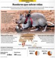 /album/fotogaleria-salud/infogr-1-jpg/